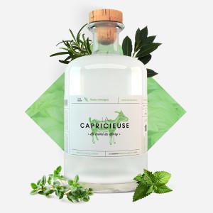 capricieuse-plante-aromatique